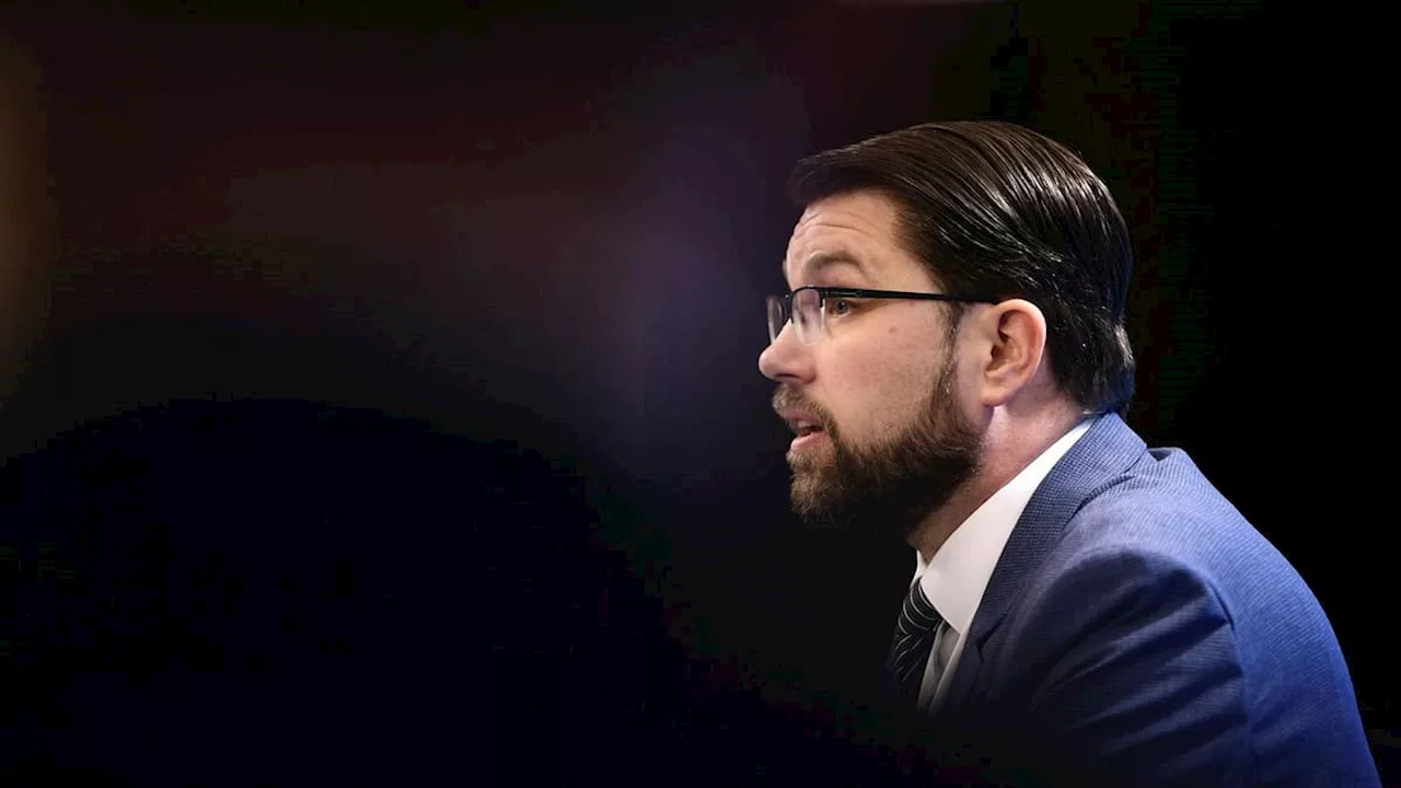 Åkesson kritiserar TV4-granskning om trollfabriker