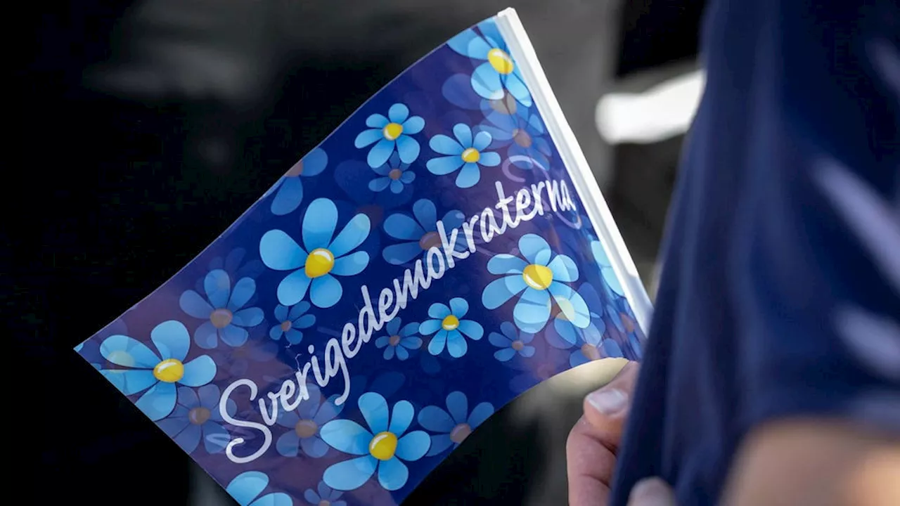 Här är Sverigedemokraternas 23 trollkonton