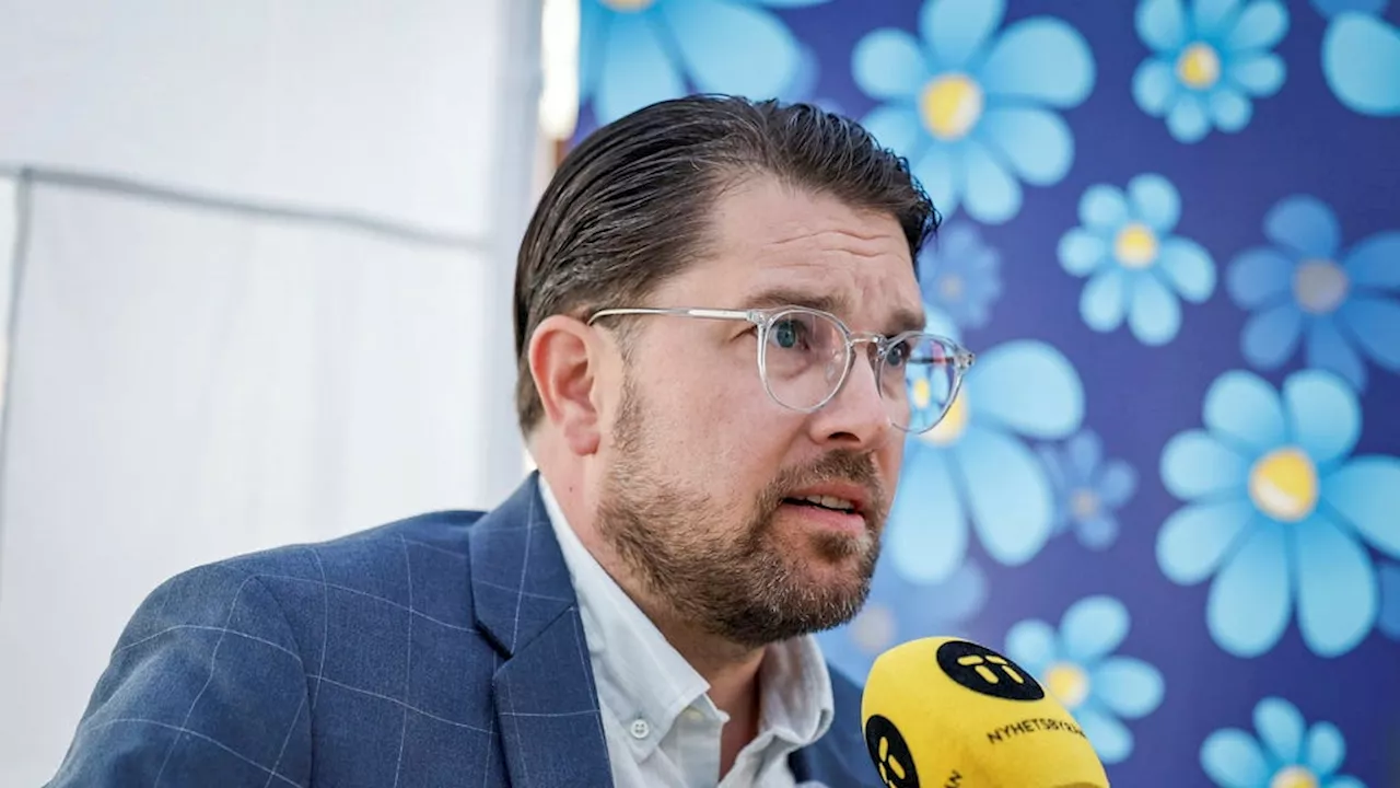 Jimmie Åkesson: ”Det finns ingen trollfabrik”