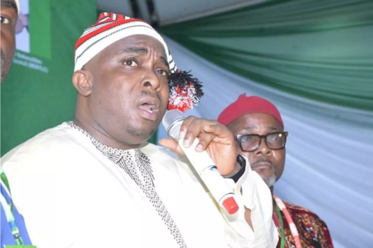 Ohanaeze: Unfounded allegations won’t deter our pursuit of Igbo interest