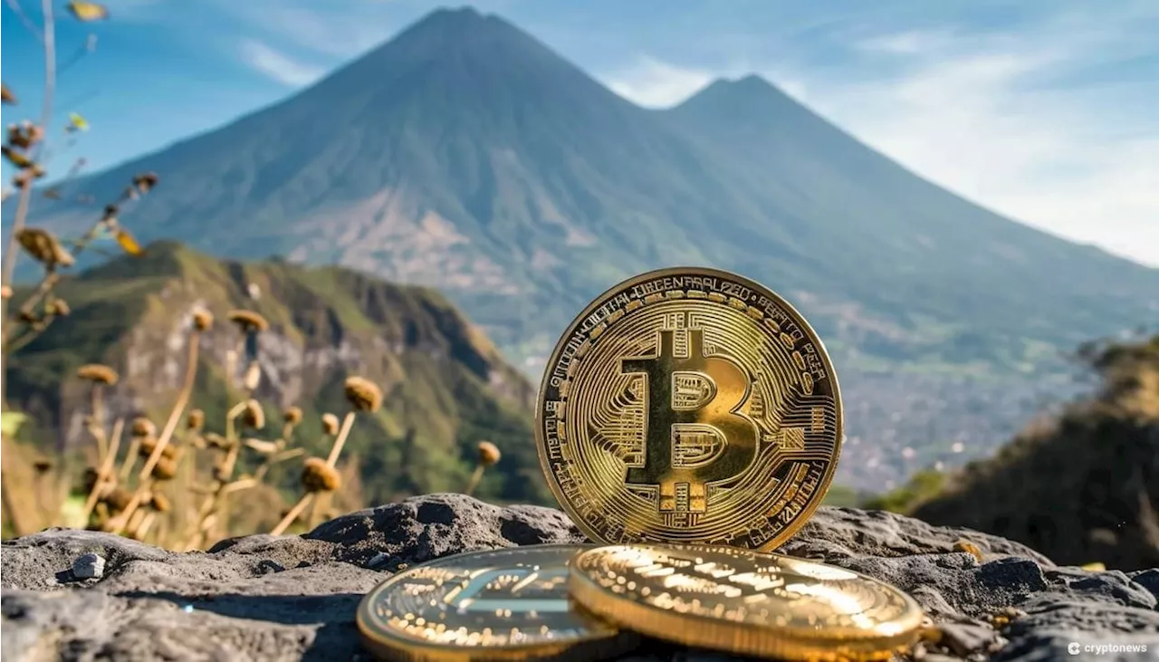 El Salvador startet Bitcoin Treasury Website für seine $360 Millionen BTC-Reserven