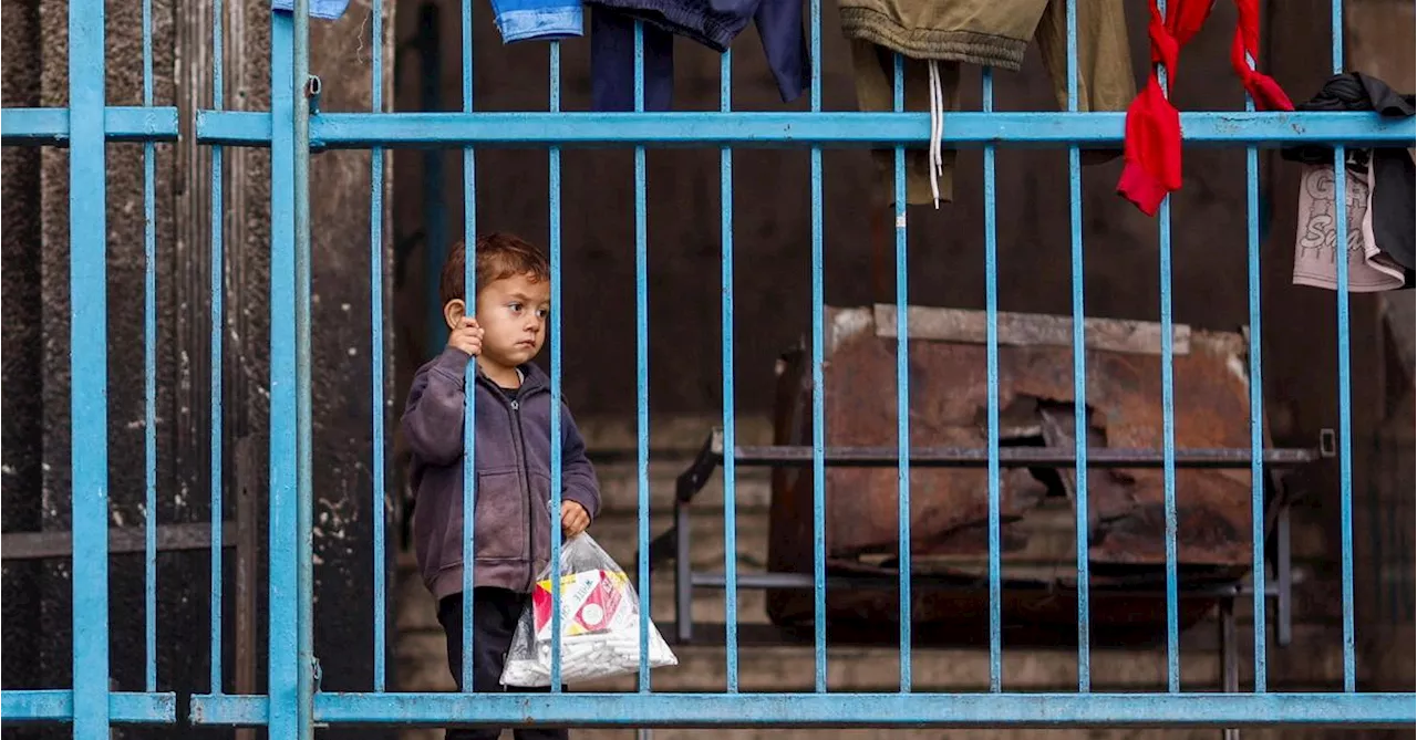 Rotes Kreuz errichtet Feldspital in Rafah