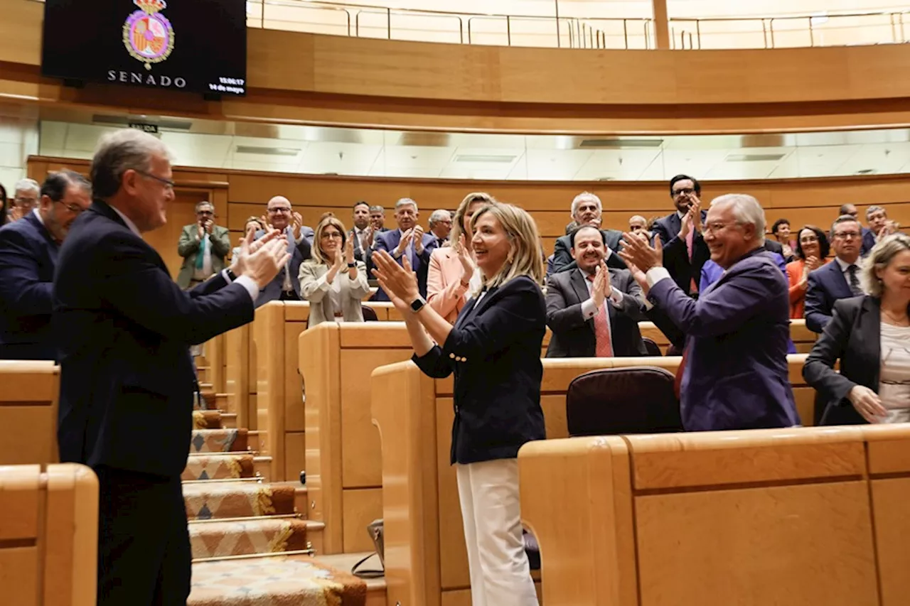 El Senado veta la ley de amnistía, que volverá al Congreso