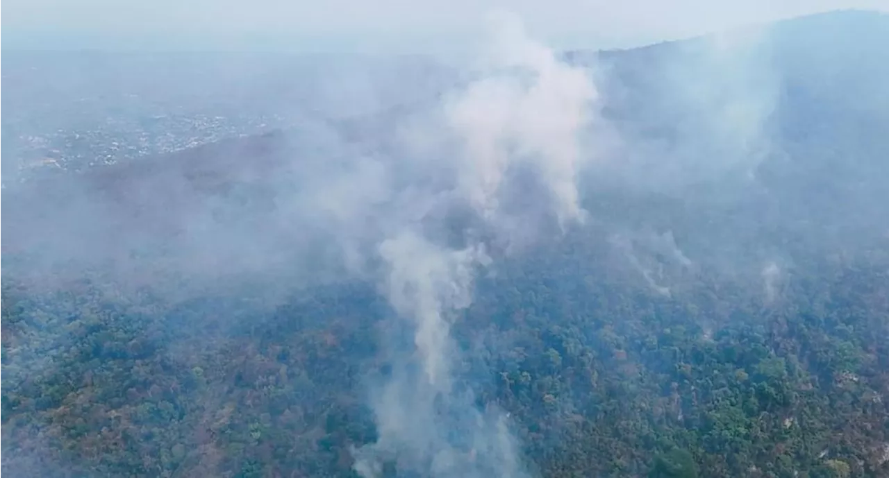 Muere voluntario que combatía incendio forestal en San Pedro Cafetitlán, Oaxaca