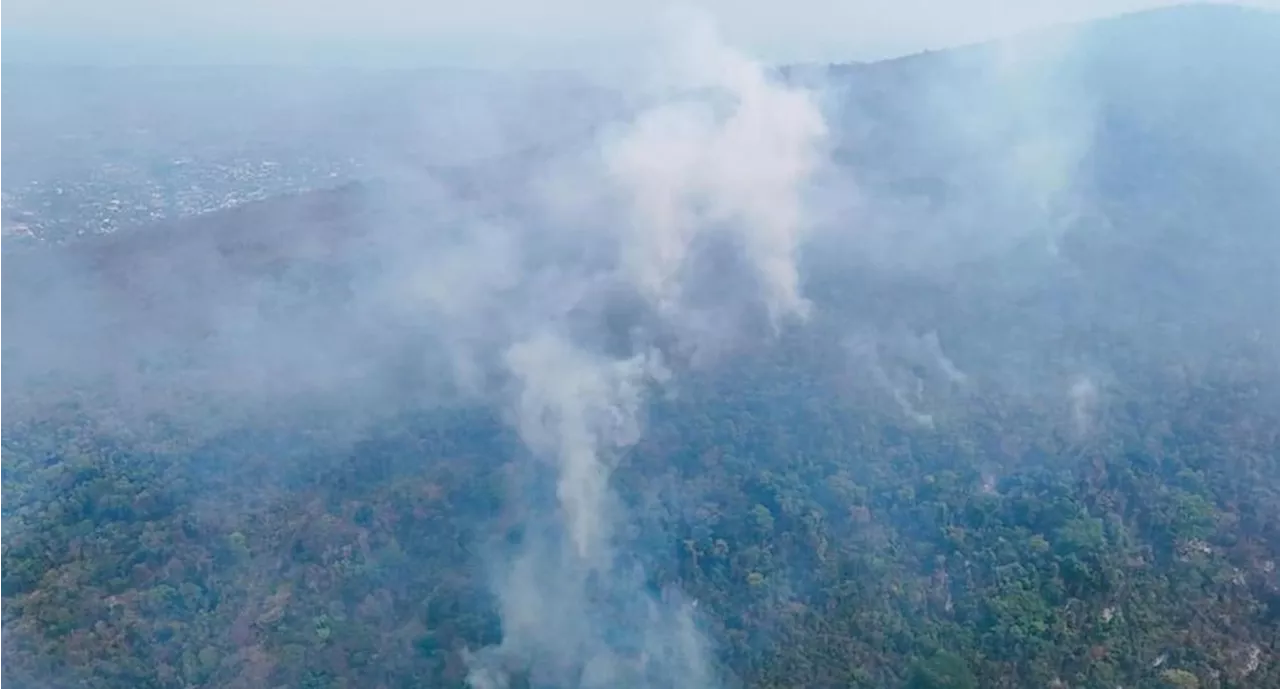 Oaxaca: 24 incendios activos consumen miles de hectáreas de bosque