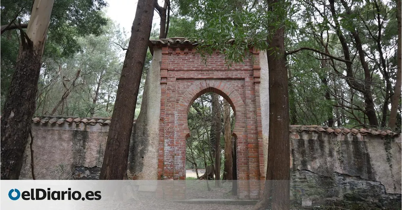 El cementerio musulmán de Barcia: una memoria incómoda sepultada por la maleza en Asturias