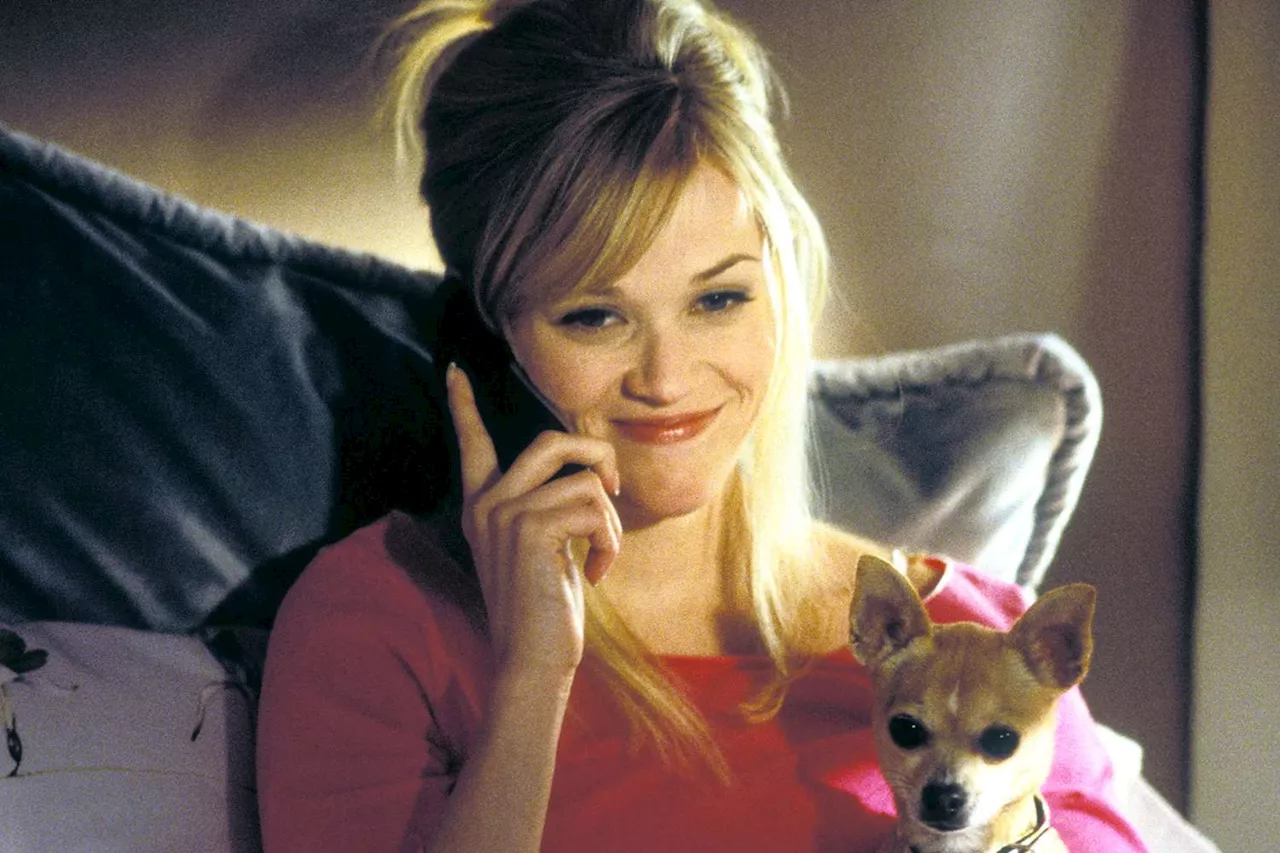 Reese Witherspoon producing Legally Blonde prequel series about Elle Woods' high school years