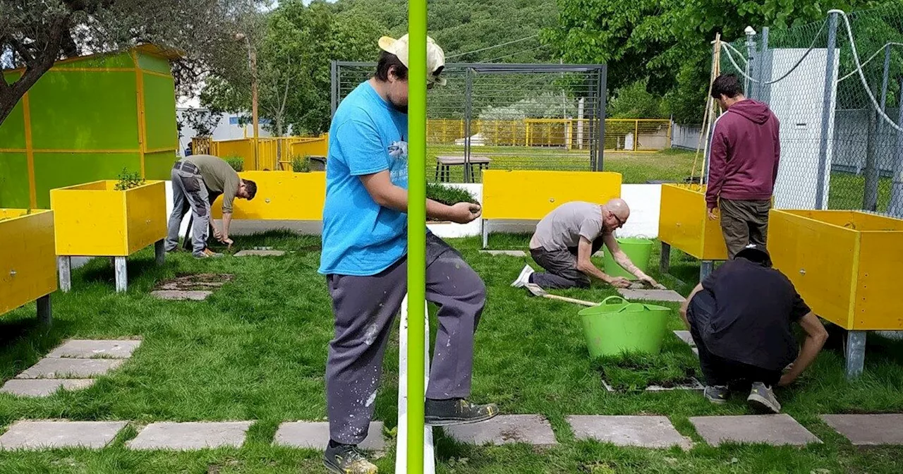 Così a Trieste rinasce il rione periferico: doposcuola, falegnameria, rigenerazione urbana