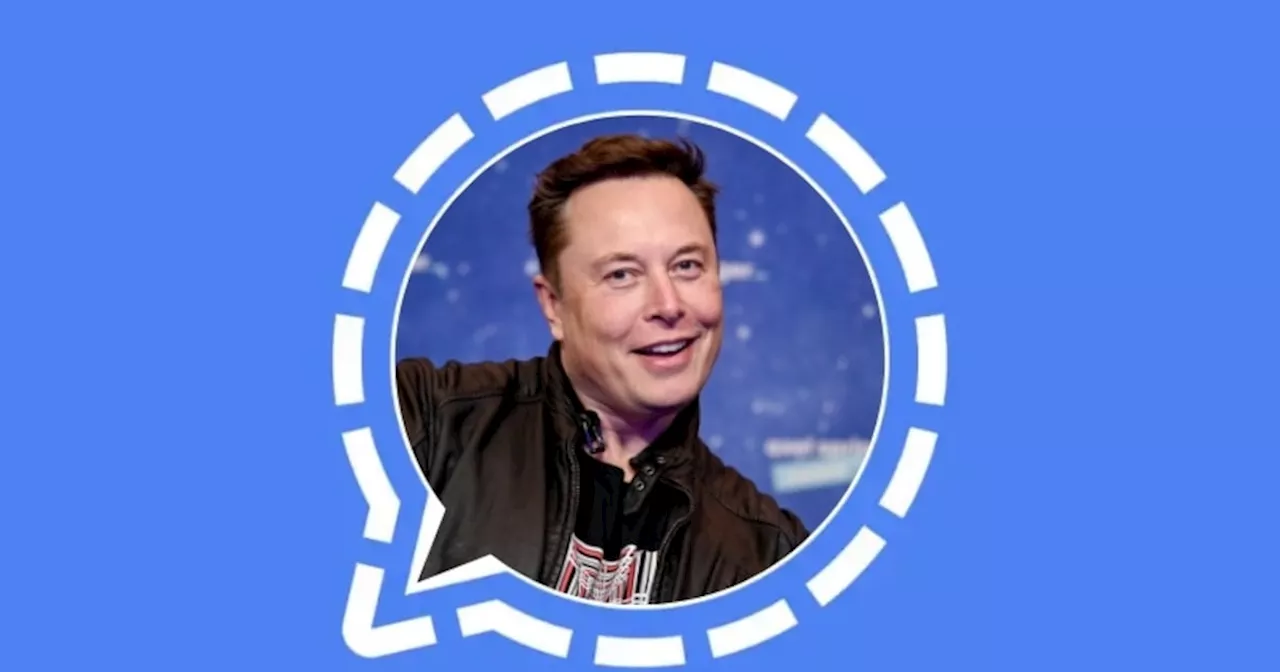 ¿Puedes confiar en Signal? Elon Musk y el CEO de Telegram lanzan fuertes acusaciones