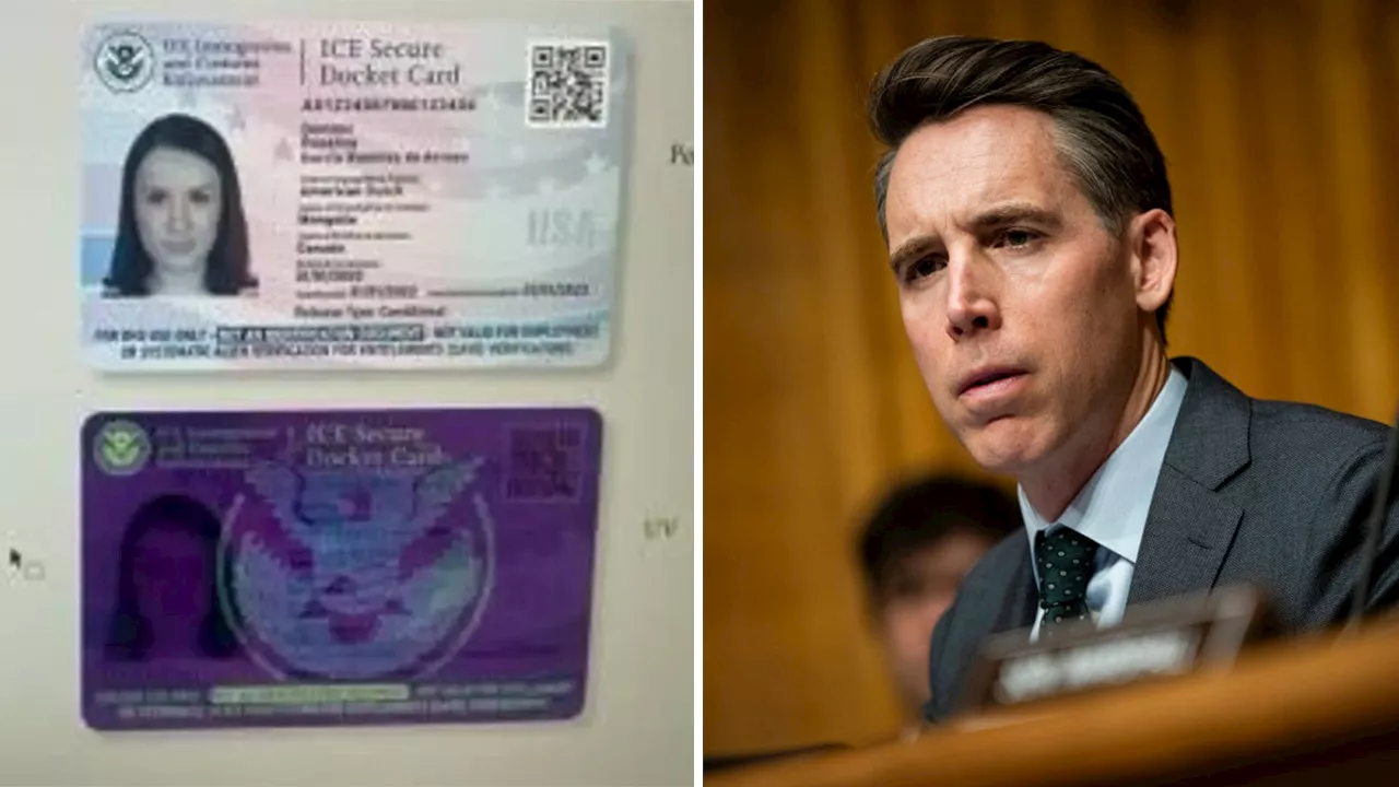 ‘Enough’: Controversial ID program for illegal immigrants targeted by GOP senator