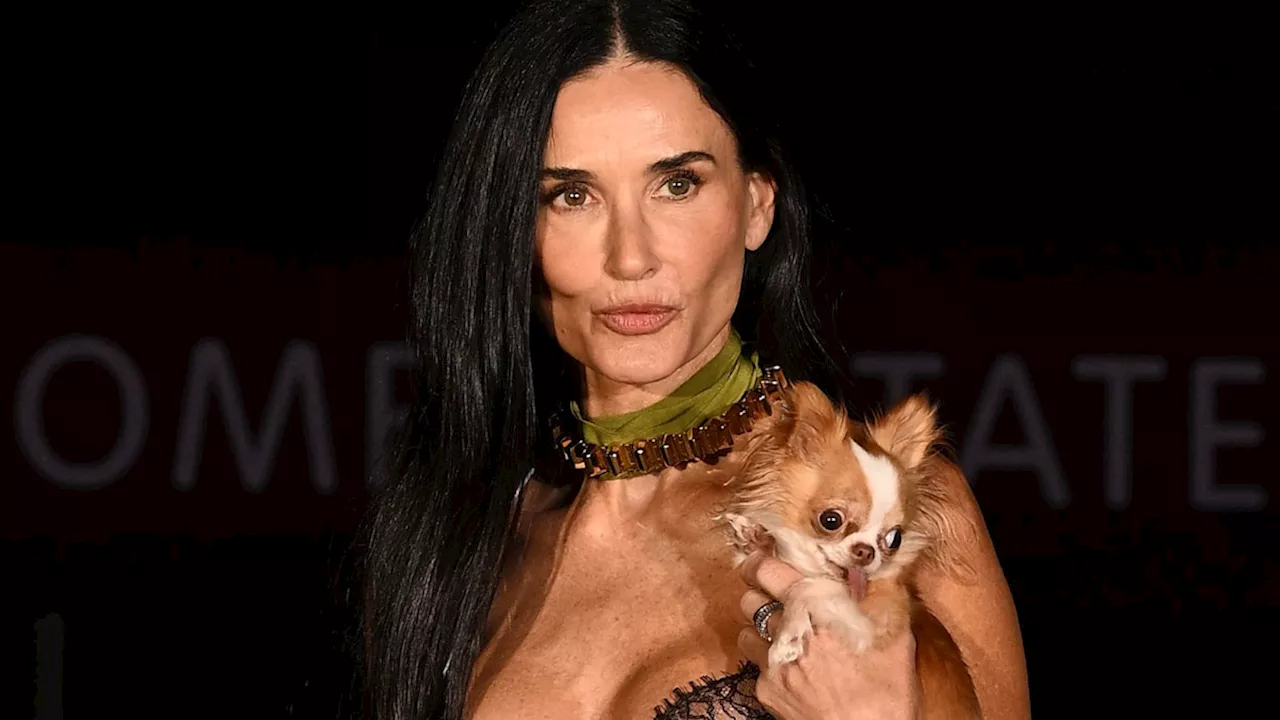 Demi Moore, 61, showcases her ageless physique in sheer lace dress with her chihuahua Pilaf