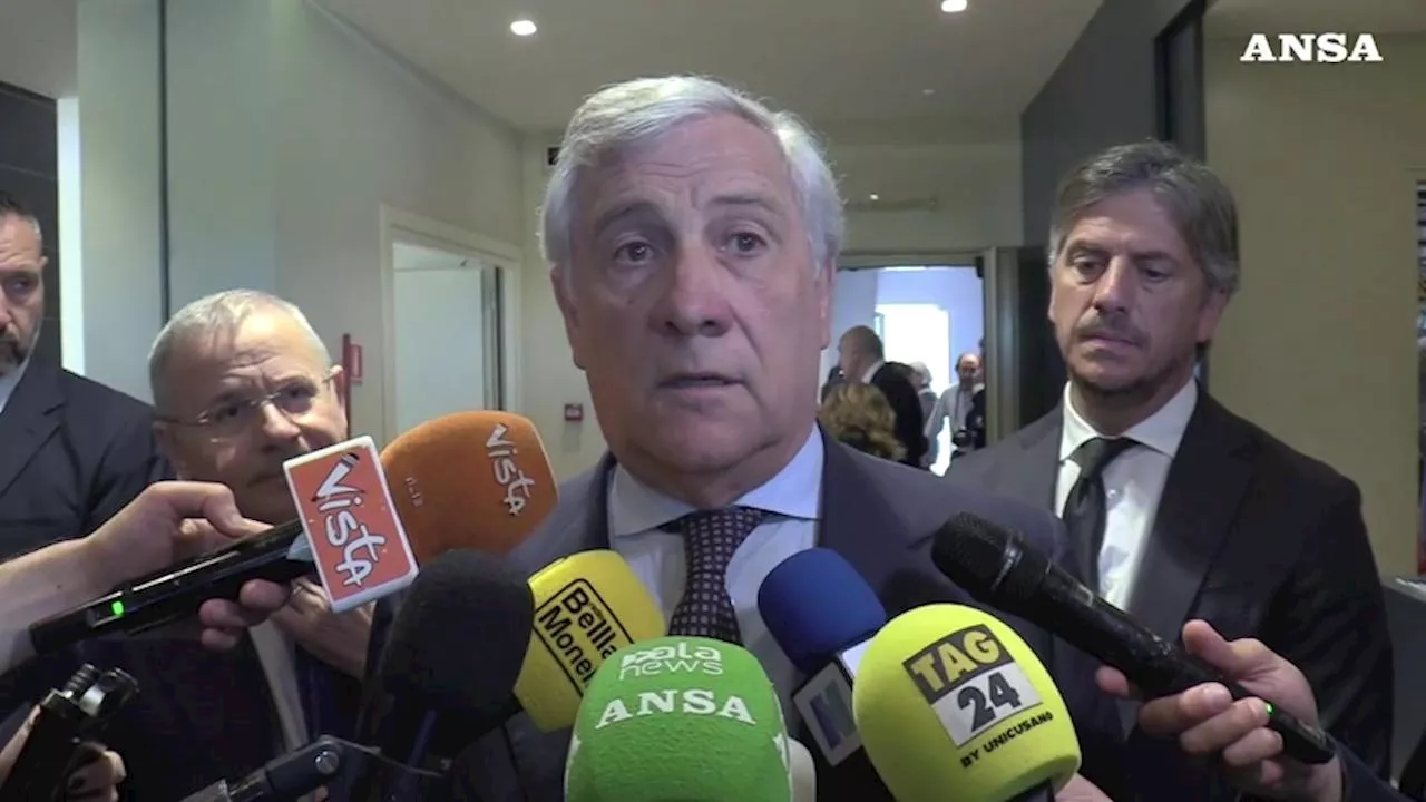 Caso Salis, Tajani: 'Se possibile cercheremo di farla votare in Ungheria'