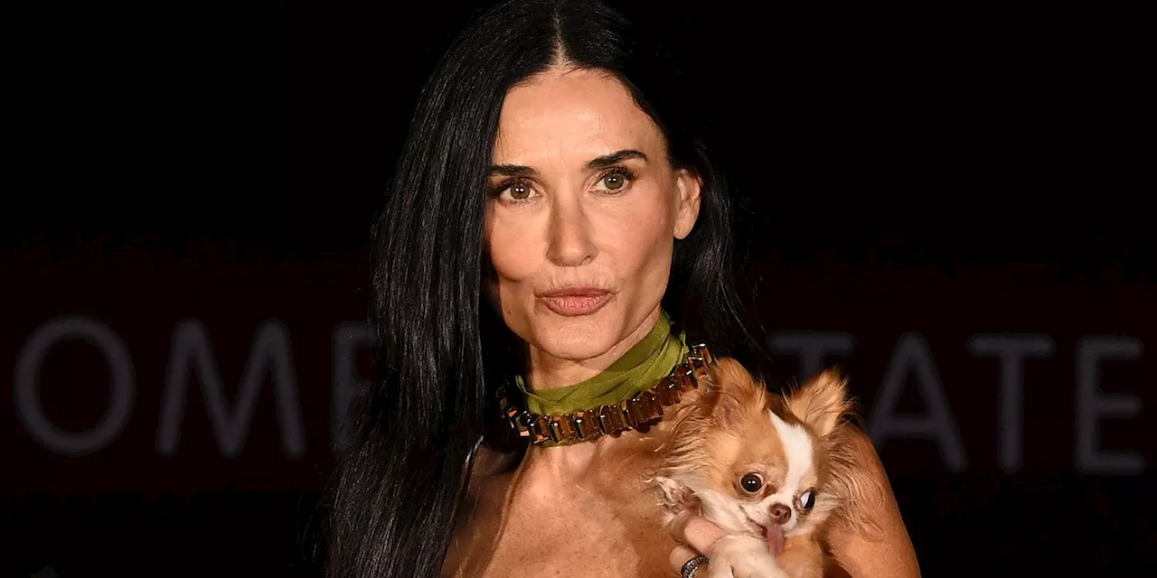 Demi Moore Accessorized Her Sheer, Lacy Dress With Her Tiny Dog