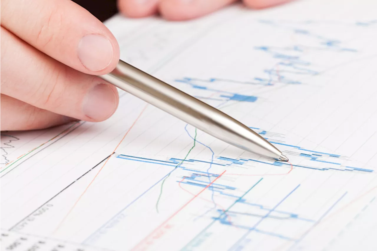 Rate cut bets make investors 'most bullish' since Nov 2021