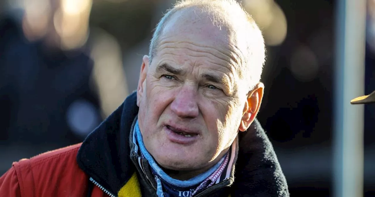 High Court considers whether to pause three-month suspension on trainer Tony Martin