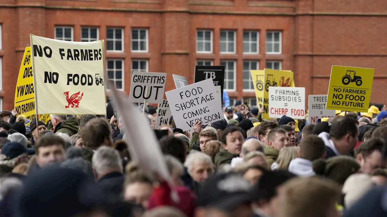 Controversial farming scheme delayed by a year, say Welsh Government