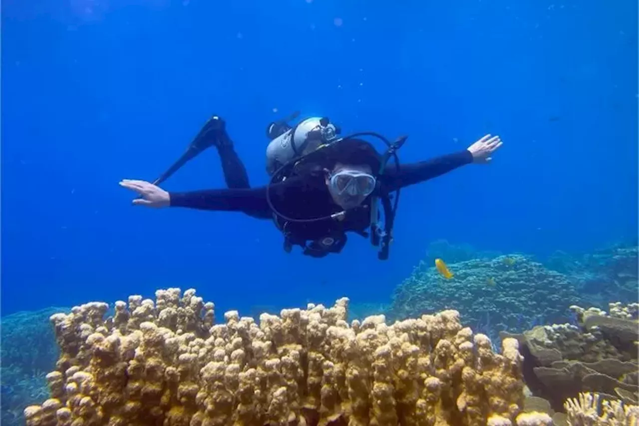 Snorkeling, Menikmati Indahnya Terumbu Karang dan Ribuan Ikan di Taman Nasional Karimunjawa