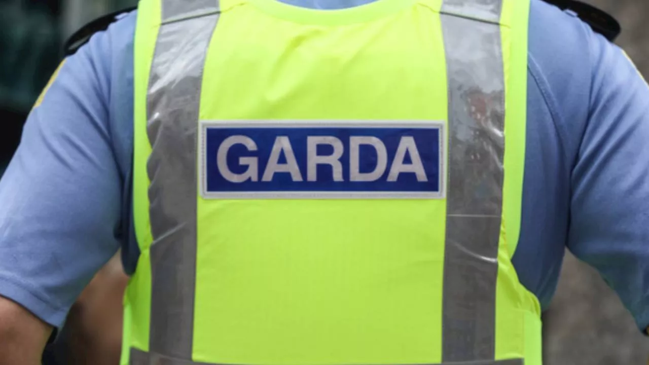 Man in his 30s dies after reported stabbing at Kildare party