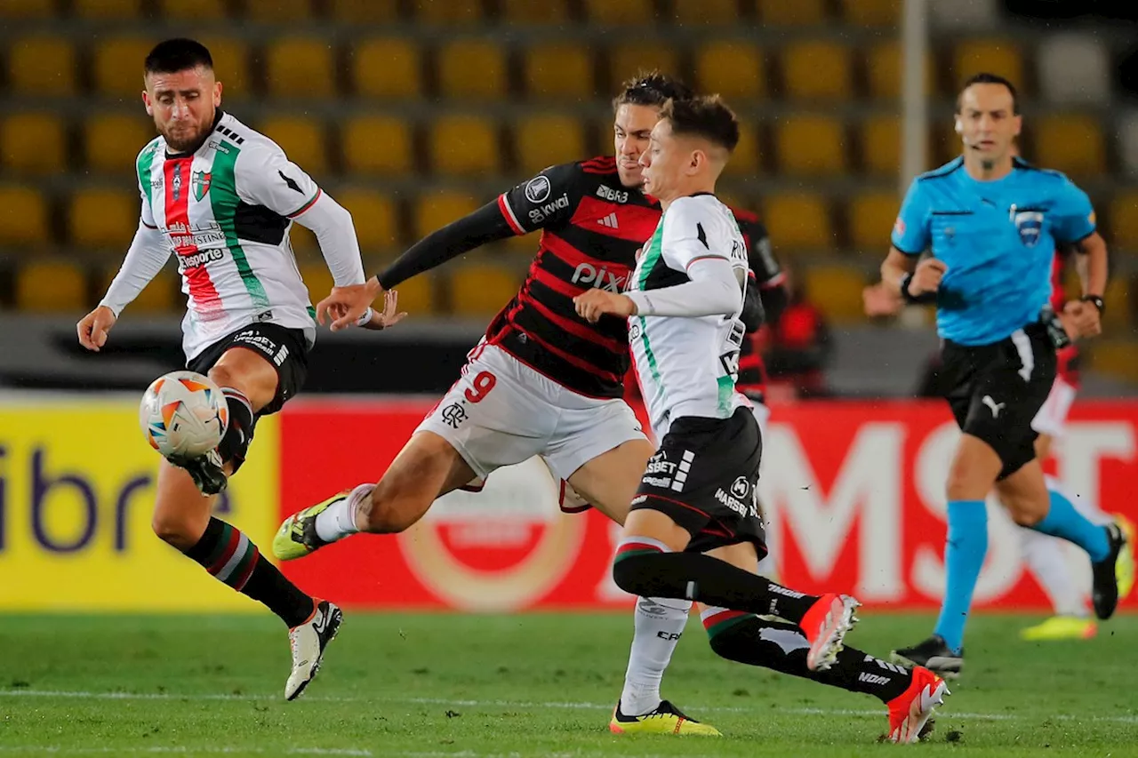 Millonarios x Palestino: Veja chances de classificação do Flamengo na Libertadores a depender do resultado