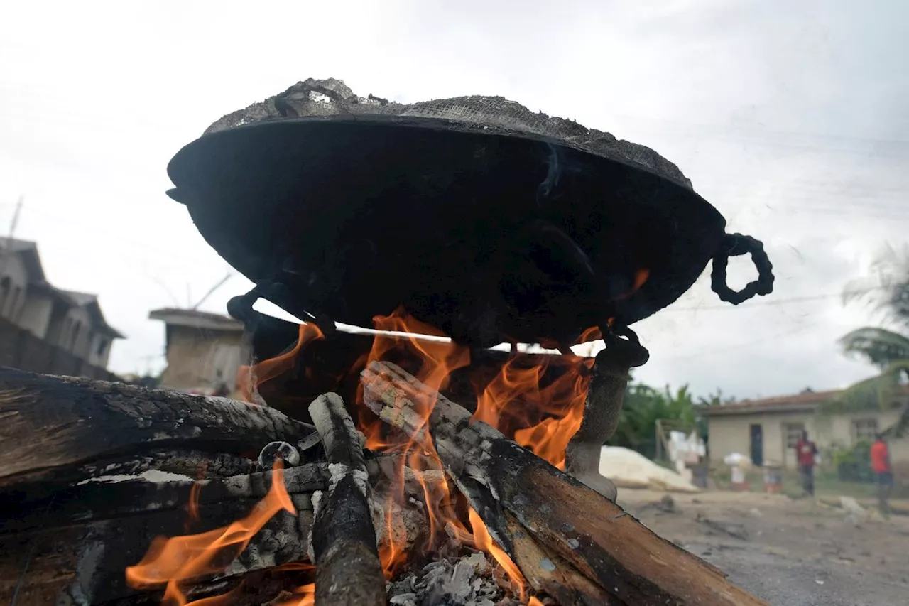 Des engagements pour doter l'Afrique de systèmes de cuisson non dangereux