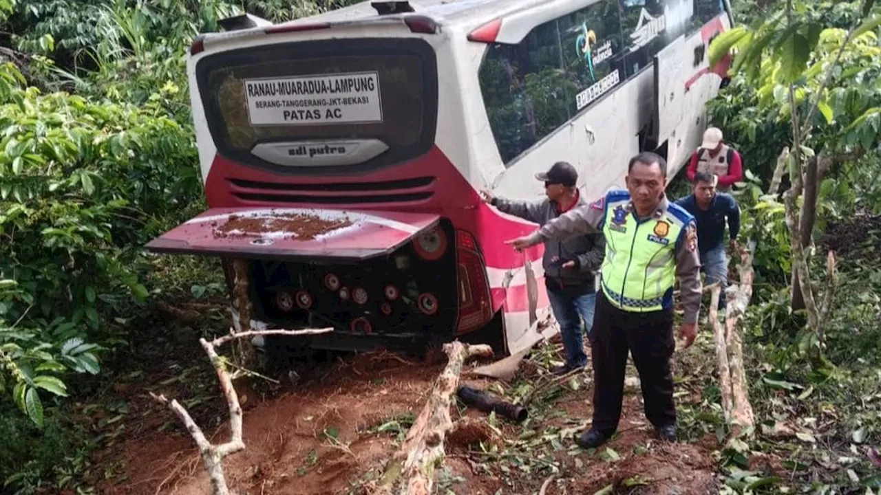 Bus Ranau Indah Terjun ke Jurang 50 Meter di Lampung Barat, Ini Penyebabnya