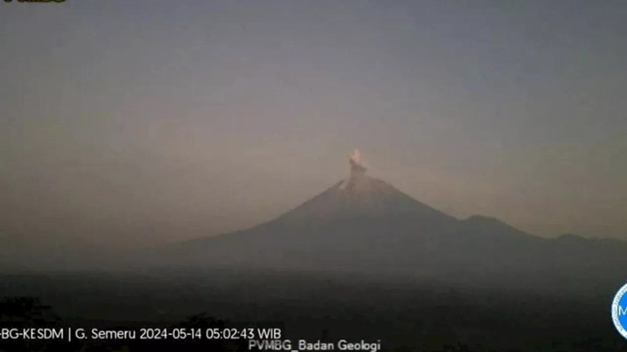 Gunung Semeru Erupsi Lagi, Lontarkan Abu Vulkanik Setinggi 600 Meter