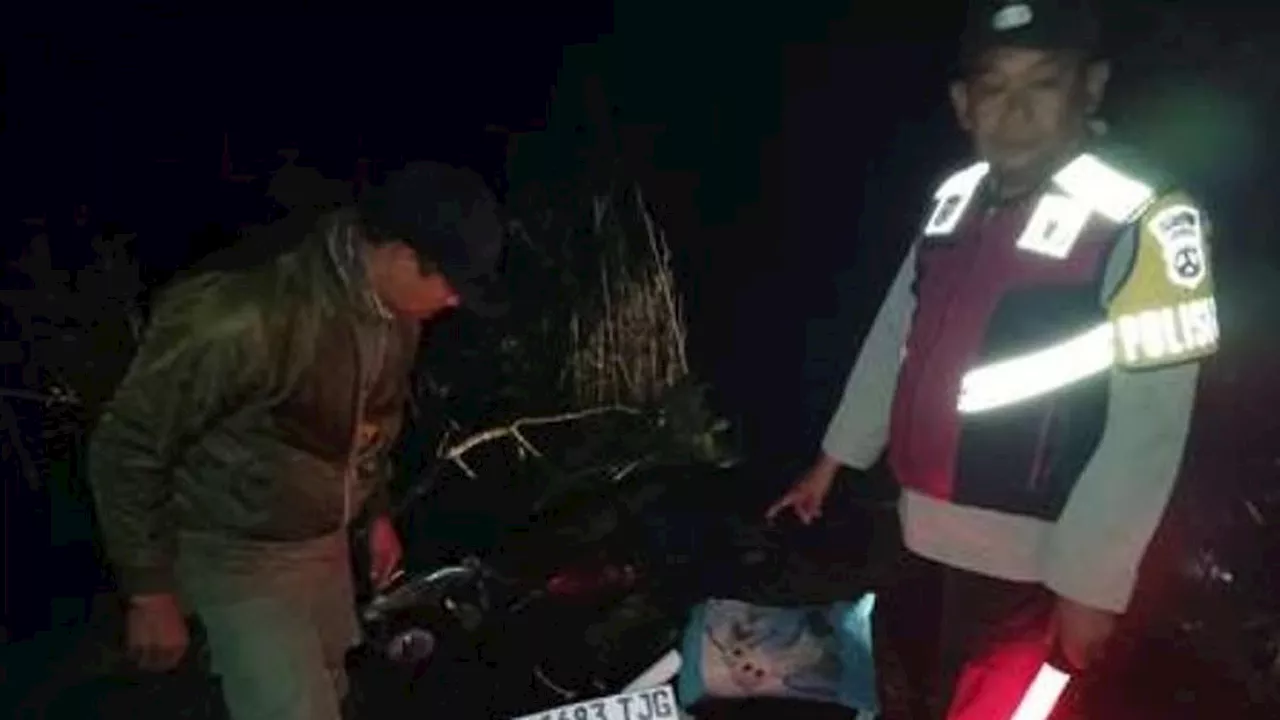 Mobil Fortuner Kecelakaan Masuk Jurang di Kawasan Wisata Bromo, Empat Orang Tewas