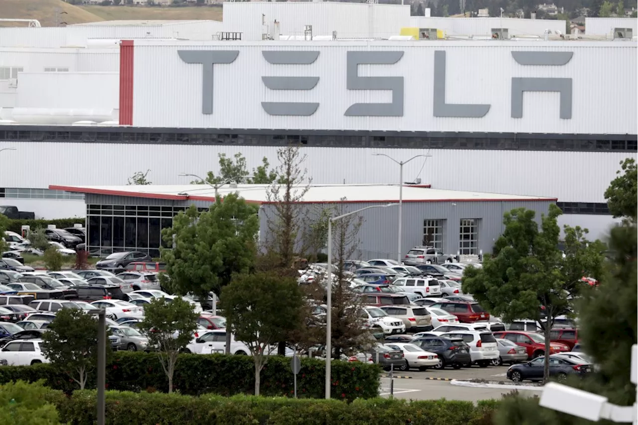 Tesla chops hundreds more Bay Area jobs as tech industry layoffs widen