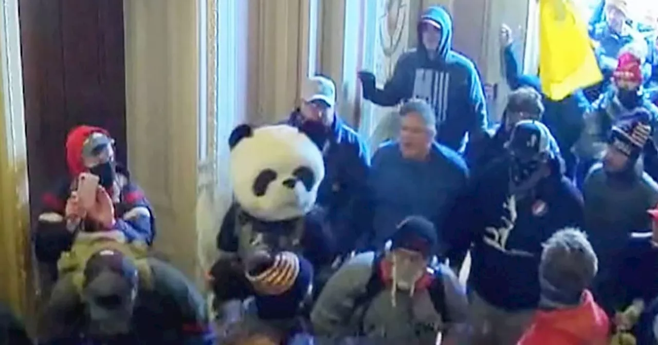 'Are you crazy?': Republican police officer grapples with Jan. 6 during 'Sedition Panda' trial