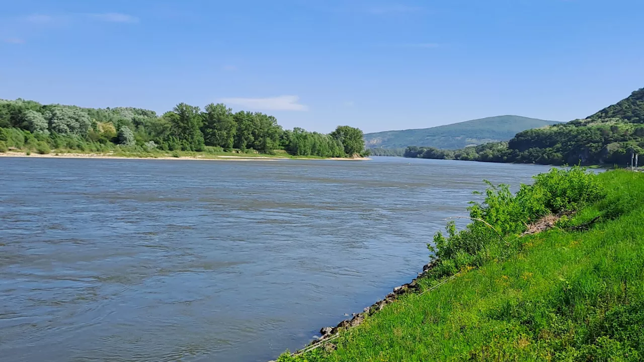 Donauradweg: Natur & Kultur am Strom von Hainburg bis nach Bratislava