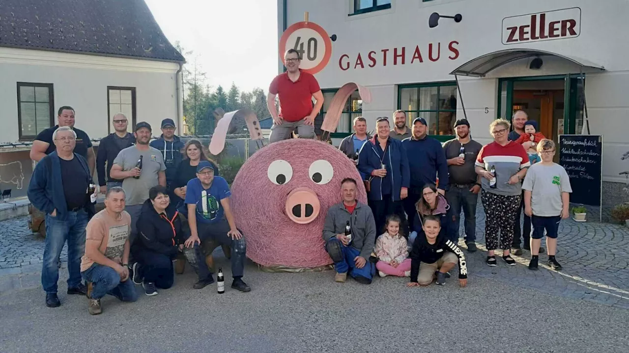 Ungewöhnliche Schwein-Lieferung für Fleischermeister Zeller