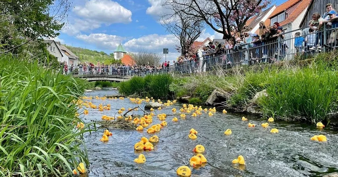 In Beverunger Ortschaft saußen die Enten um die Wette