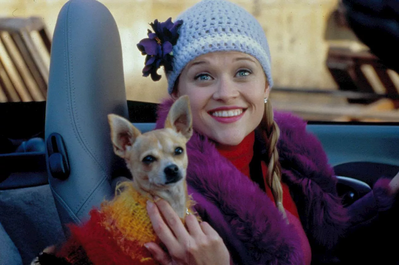 Legally Blonde Prequel Series Ordered at Prime Video with Reese Witherspoon as Executive Producer