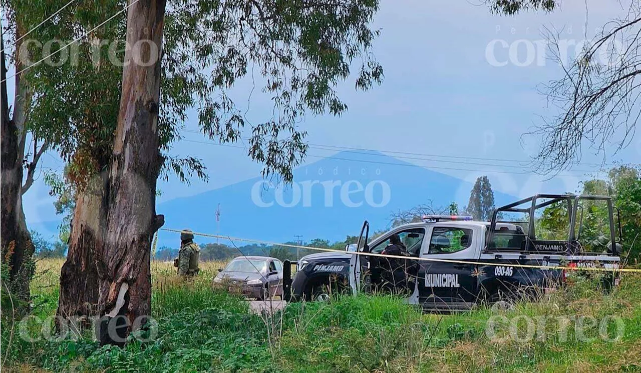 Comisión de Búsqueda encuentra restos de al menos 34 personas en Guanajuato