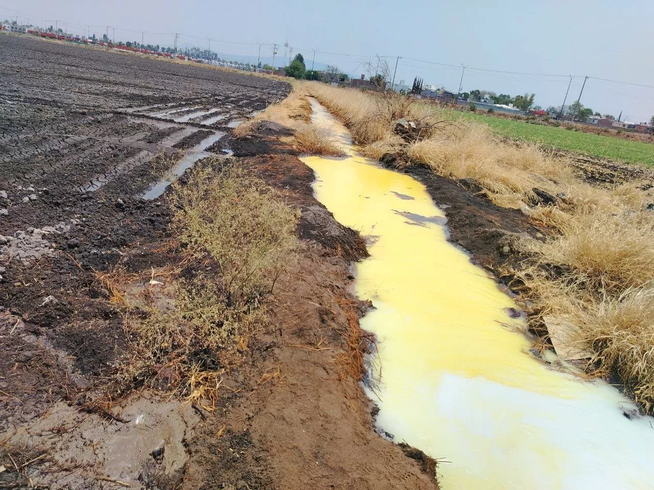 ¿Es posible demandar a Pemex por contaminar pozo agrícola de Salamanca?