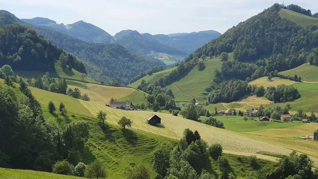 Mosaic grassland landscapes are the most beneficial in terms of ecosystem services, Swiss study finds