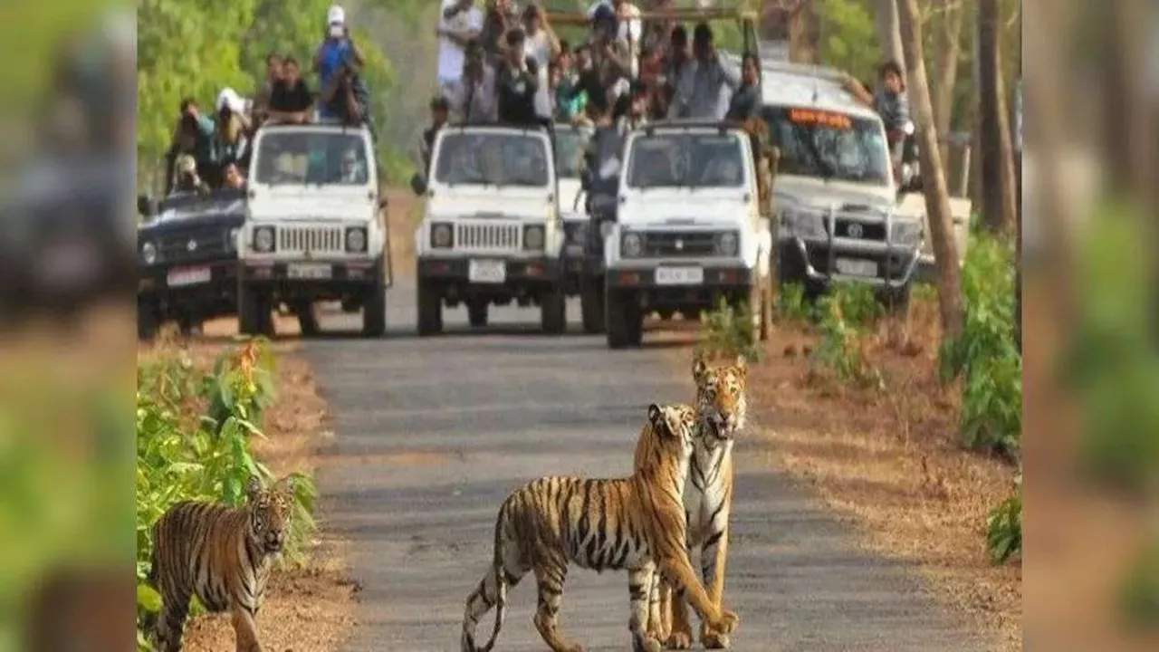 मई में राजस्थान घूमने का प्लान बना रहे हैं, तो ये 7 जगह हैं सबसे बेस्ट, गर्मियों में देती हैं सर्दियों का मजा