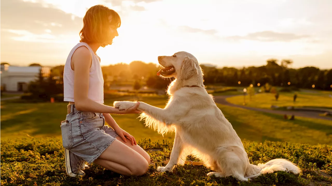 Gib Pfötchen! Urlaub und Hundetraining kombinieren?