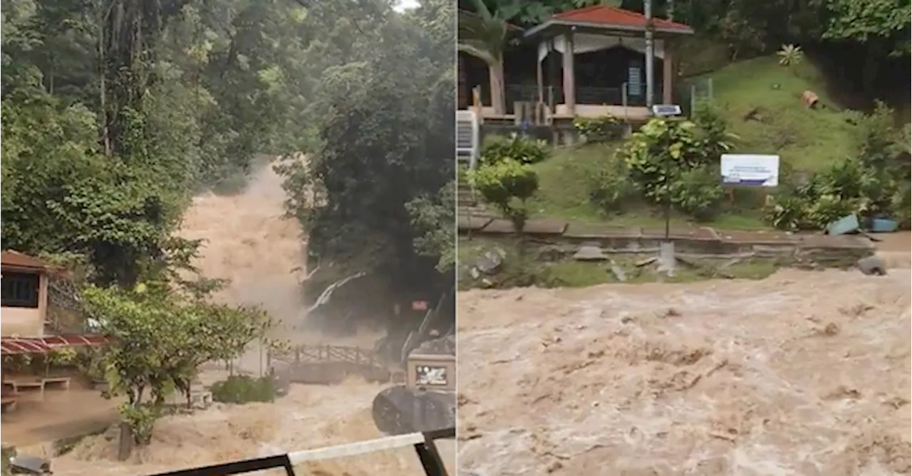 Video Of Water Surge At Lata Iskandar Waterfall Near Cameron Highlands Goes Viral