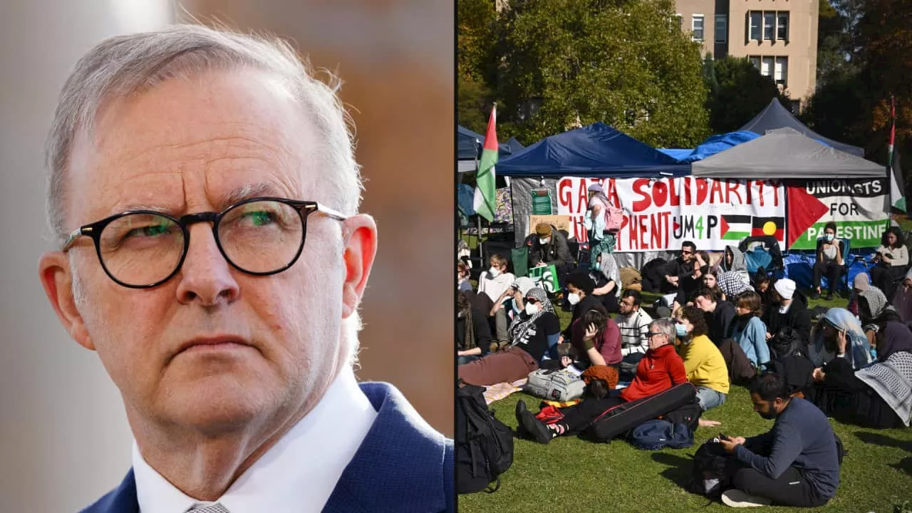 'Couldn't find it on a map': Albanese's criticism of pro-Palestinian student rallies