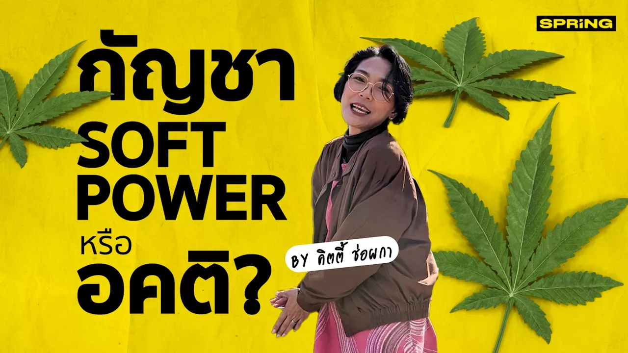 กัญชา Soft Power หรือ อคติ By คิตตี้ ช่อผกา