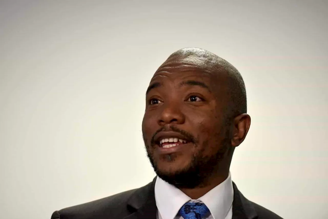 R1 000 if the lights go out: Maimane’s bet on load shedding return