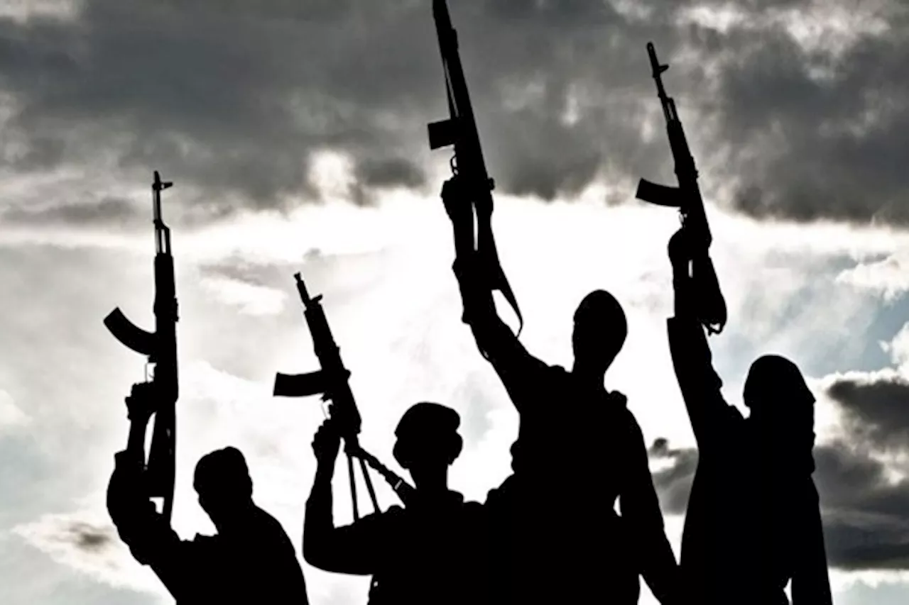 JUST IN: Terrorists kill three, abduct 20 in Niger community