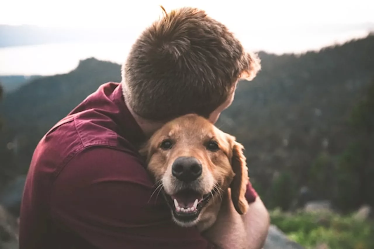 Yelling at your misbehaving pet? Try these calmer techniques instead!