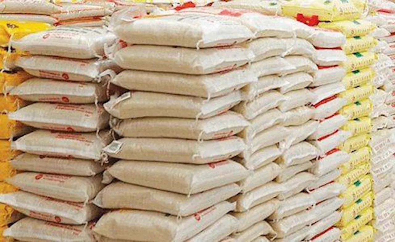 We got 1 bag of rice, wrapper after 2023 election, APC women decry low patronage