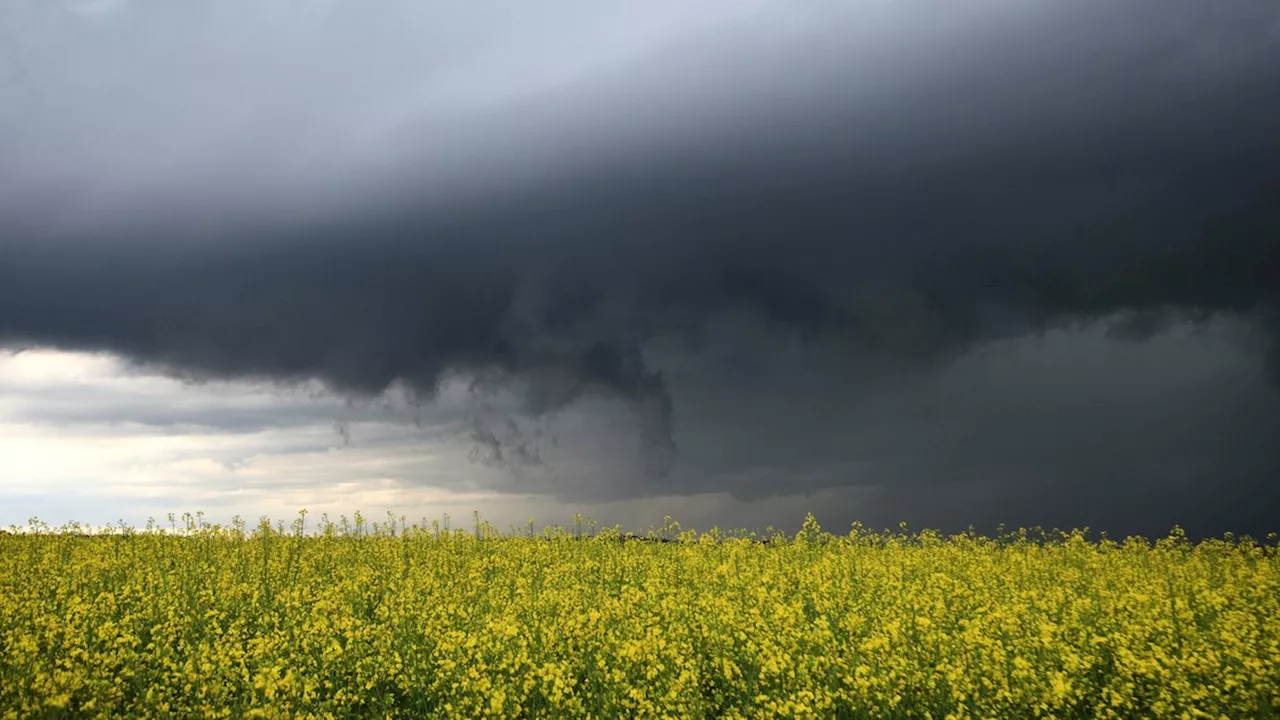 Wetter in Deutschland: DWD warnt vor Gewitter und Starkregen