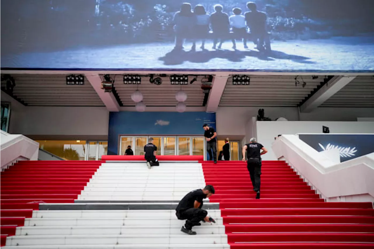 How Cannes works, from the standing ovations to the juries to the Palm Dog