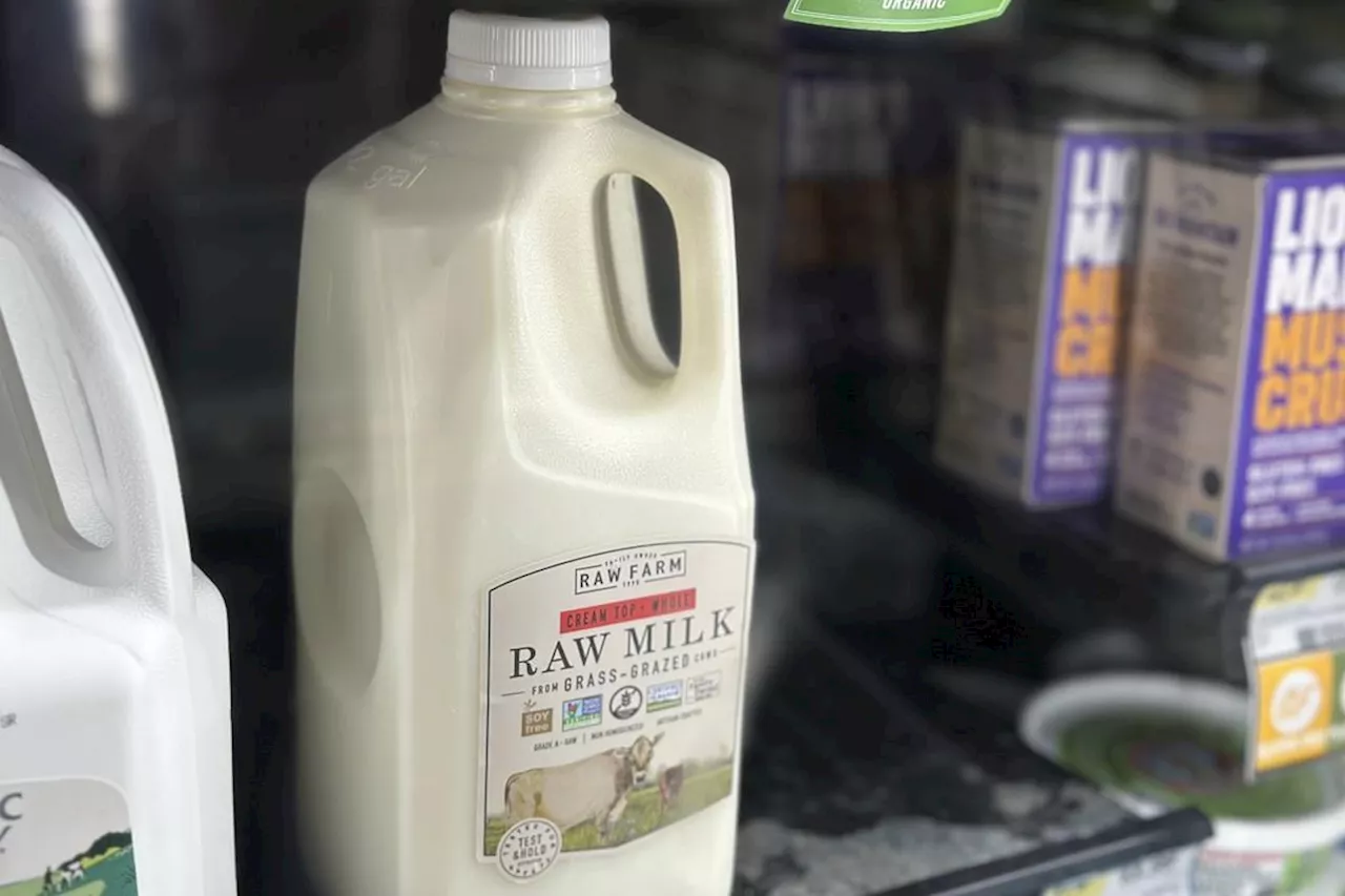 There's bird flu in US dairy cows. Raw milk drinkers aren't deterred