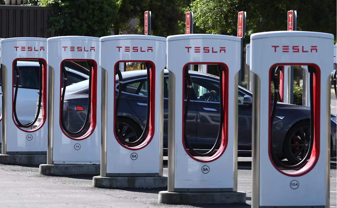 With or without Tesla, Canada's EV charging industry foresees 'massive growth'