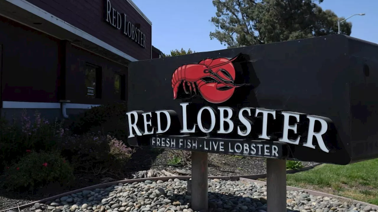 Red Lobster closes multiple locations as company prepares to file for bankruptcy